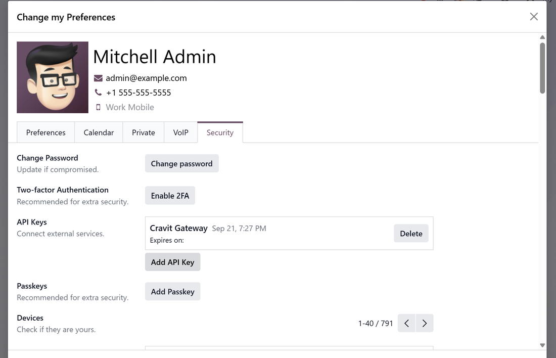 Odoo Security tab with API Keys