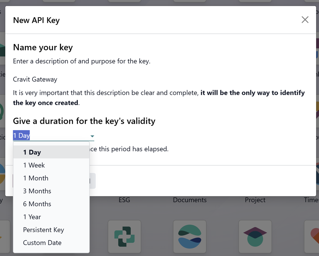 Odoo API key duration options